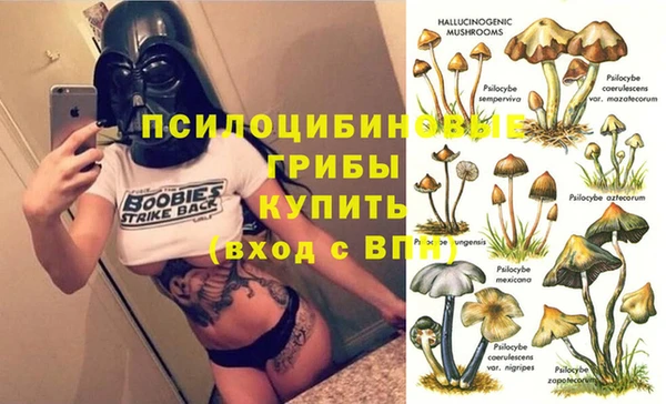 дурь Абдулино
