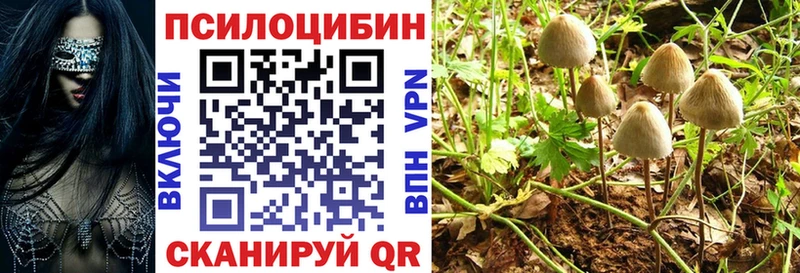 Псилоцибиновые грибы Magic Shrooms мега ТОР Владивосток