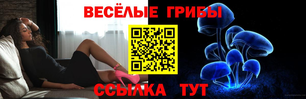 Псилоцибиновые грибы Magic Shrooms  Галлюциногенные грибы GOLDEN TEACHER  Владивосток  Вход с VPN 